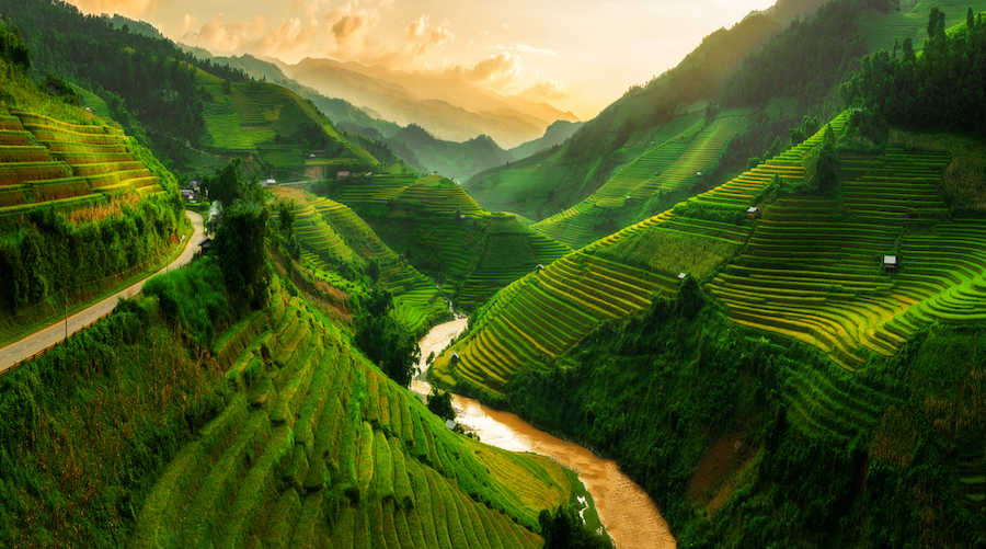 Vietnam for the Trailblazer